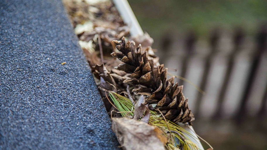 Gutter filled with debris